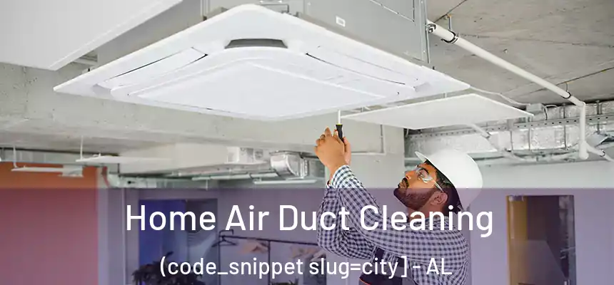  Home Air Duct Cleaning (code_snippet slug=city] - AL