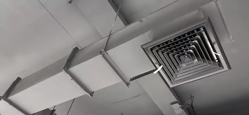 Our Rodent Droppings In Vents Services in Hueytown, AL