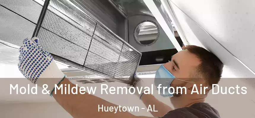Mold & Mildew Removal from Air Ducts Hueytown - AL