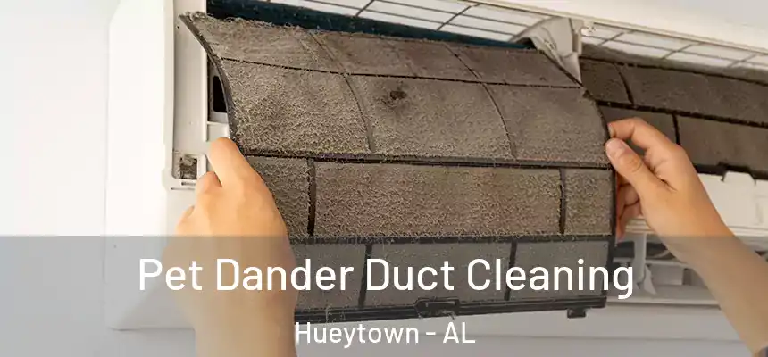  Pet Dander Duct Cleaning Hueytown - AL