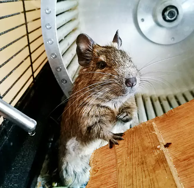 Why Homeowners & Businesses Trust Us Hueytown, AL?